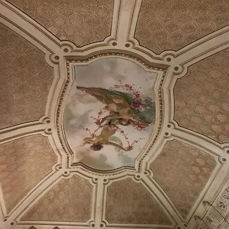 Vera *